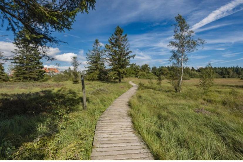 Mon Petit Cocon Villa Jalhay Eksteriør bilde